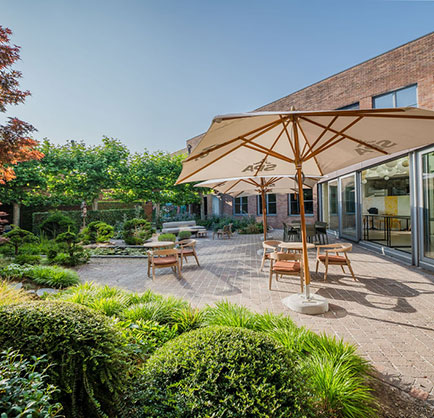 sunny terrace with patio umbrellas